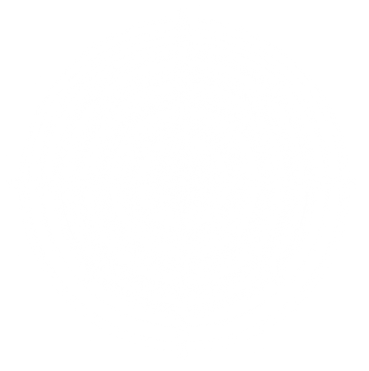 white star lens flare